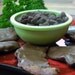 Choclate Covered Candied Bacon Gift Pack