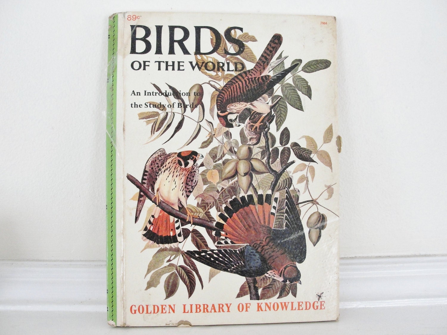 Vintage Book, Vintage Bird Book, Childrens Bird Book, Golden Library of Knowledge, Birds of the World, 1950s Bird Book, Natural History