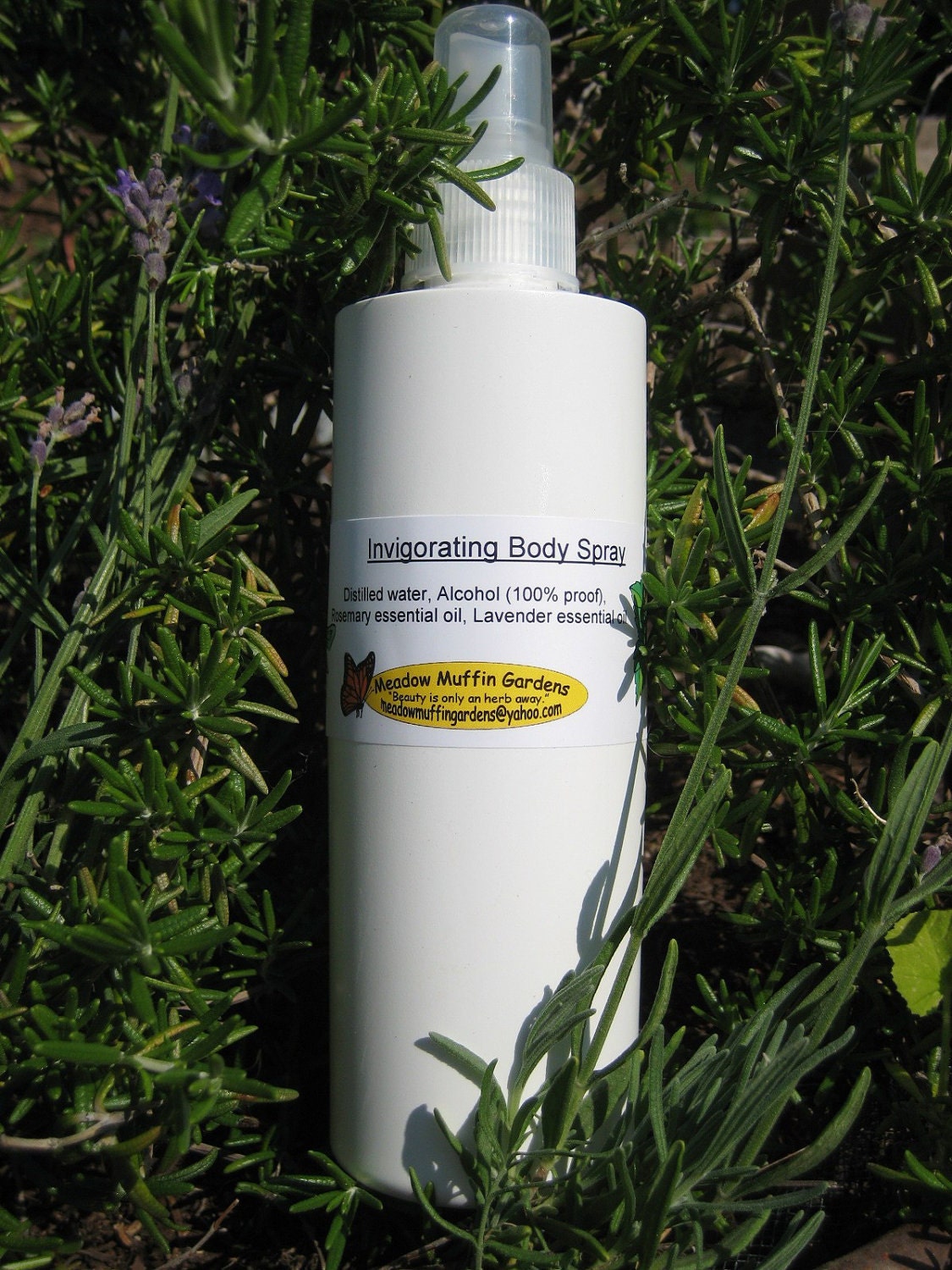 Body Spray, Rosemary/Lavender, Study Aid, Relax and Invigorate