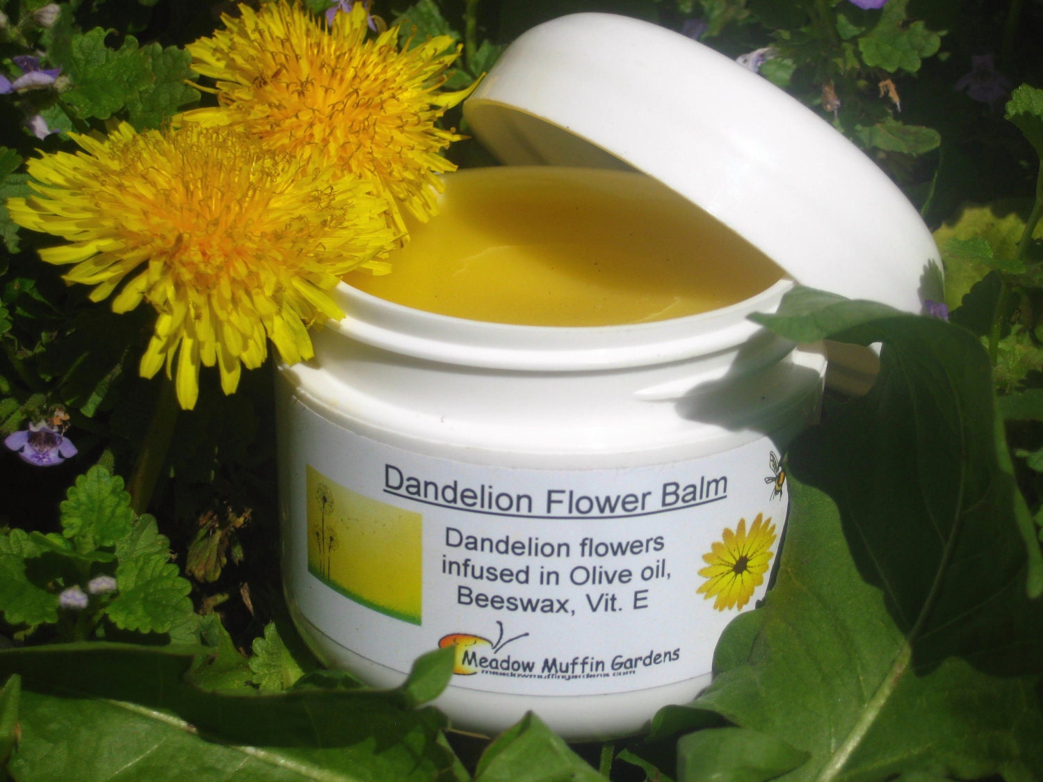 Dandelion Flower Balm, Breast Health, Muscle aches, Rash