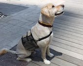Norma -  Gray Canvas Dog Harness - Medium to Large Dogs