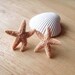 Aquamarine's Starfish Earrings Real Starfish Stud Earrings Starfish Studs Mermaid Earrings Mermaid Stud Earrings Mermaid Studs Cute Adorable