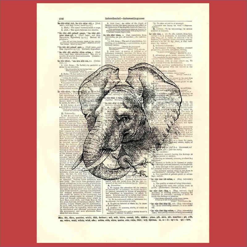 Vintage elephant (elephant1) - upcycled 8x10 1898 dictionary page print - BONUS - Buy 3 Prints, Get 1 More For FREE