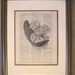 Everyone's A Winner, Babe - large trophy - upcycled 8x10 1898 dictionary page print - BONUS - Buy 3 Prints, Get 1 More For FREE