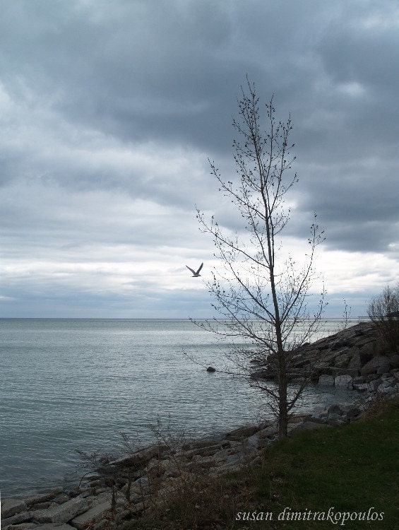 Canadian scenery, After the Storm, Bluffer's Park, Toronto - fine art photograph, home decor, gift 30