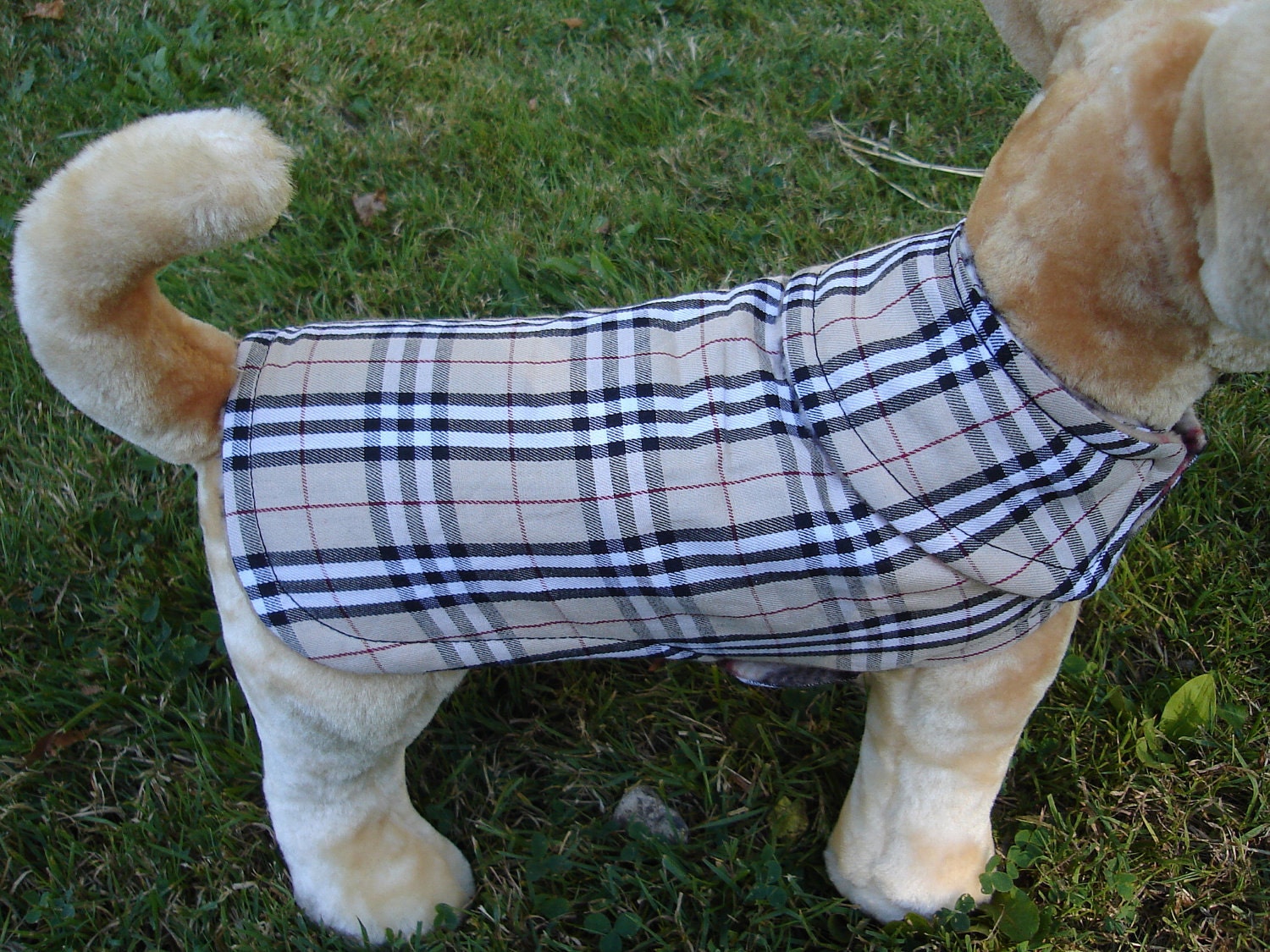 Dog Coat - London Plaid Dog Coat- XX Small- 8 to 10 Inch Back Length - Or Custom Size