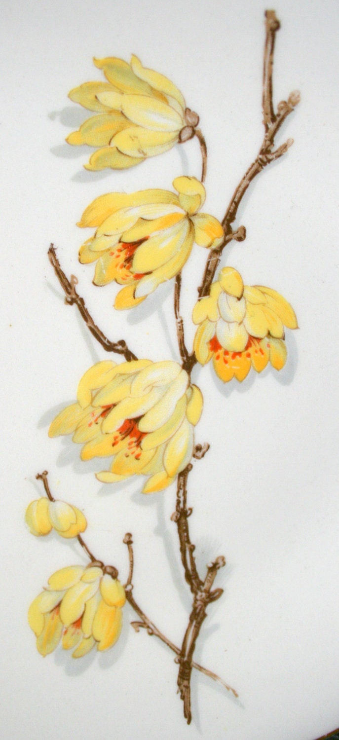 Johnson Brothers Moderne Forsythia Floral Platter