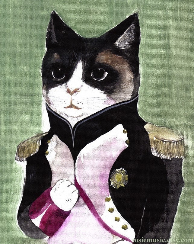The Elegant Cat