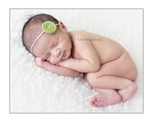 Meadow Green Felt LoliPop Flower with Pearl Center Photography Props