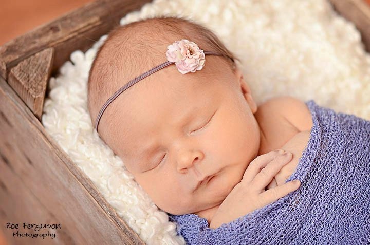 Newborn, Infant, Adult  Petite Pink Rosebud Flower Headband on Plum Elastic  photography props weddings  baby gifts