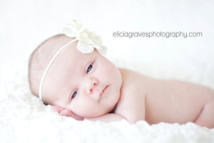 Vanilla Delight Delphinium Flower with Cream Pearl Center Headband Photography Props