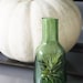Green Glass Air Plant Vase // Airplant in Small Blown Glass