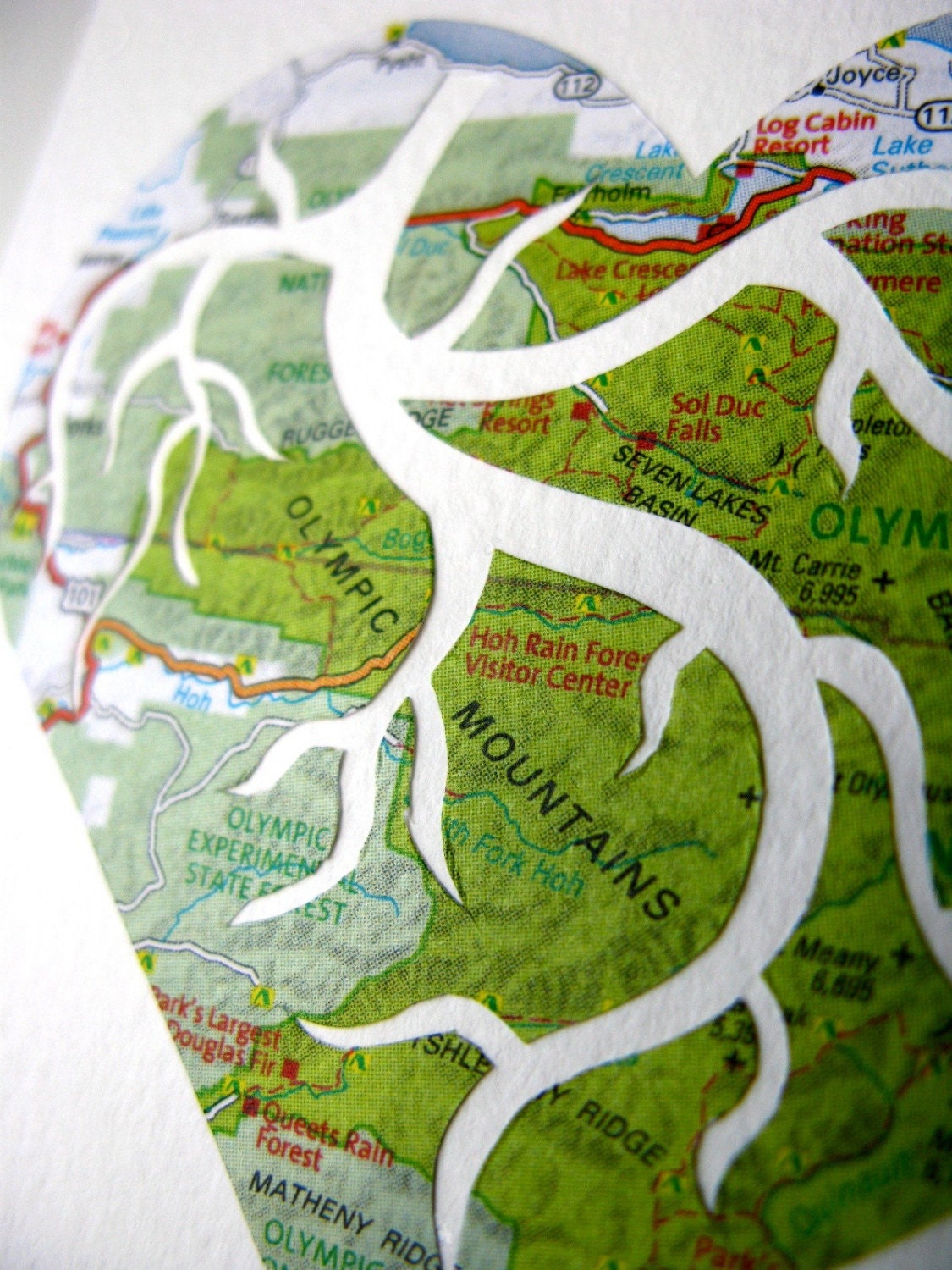 Let's Get Married in the Olympic National Park. Original Hand Cut Paper Art by PaperCutWorks