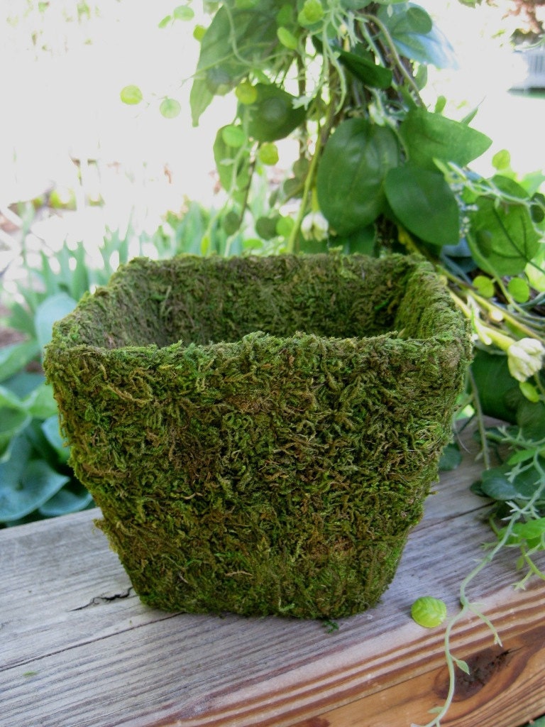 Large Moss Covered Planter for WEDDING CENTERPIECES or Garden Parties