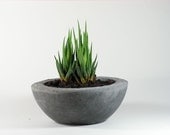 Gray Concrete Bowl