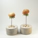 Mini Round Concrete Pot - set of 2
