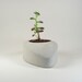 Concrete Drop - set of 2