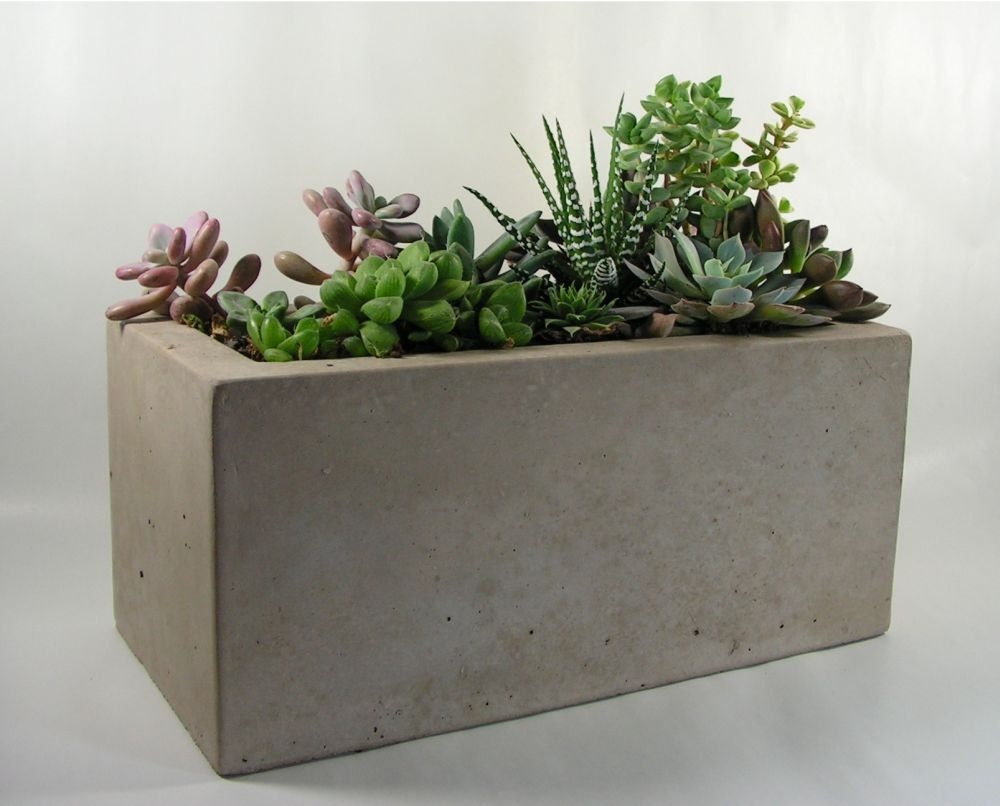 Rectangular Concrete Planter