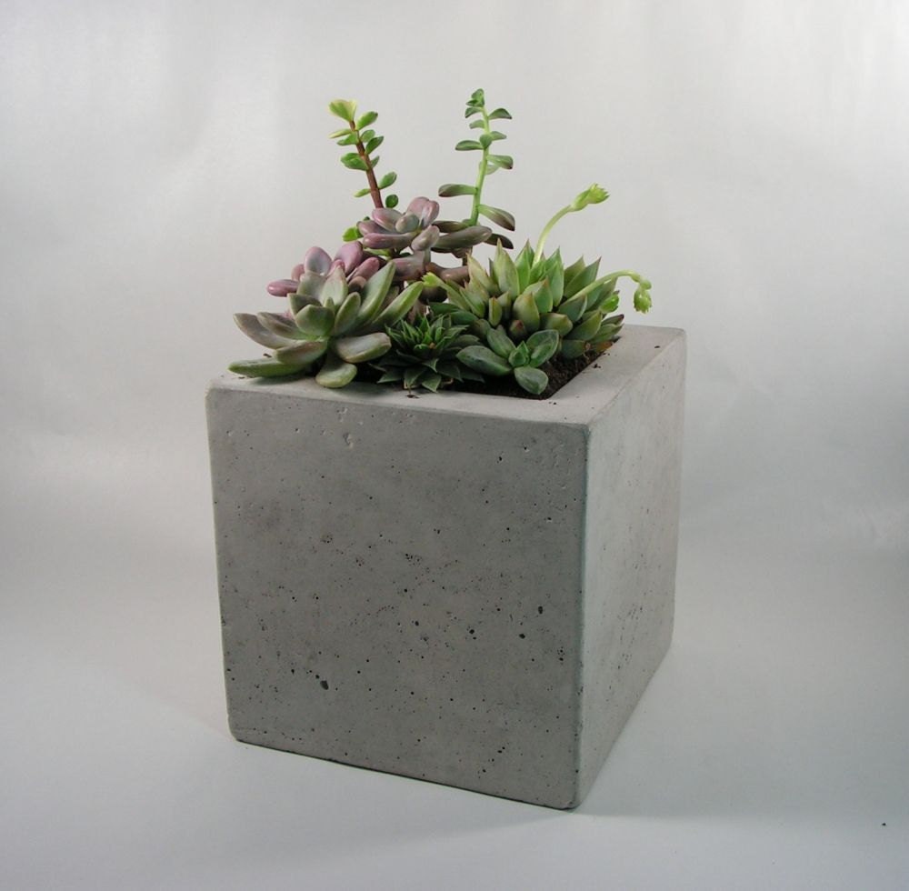 Square Concrete Planter