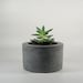 Round Concrete Planter