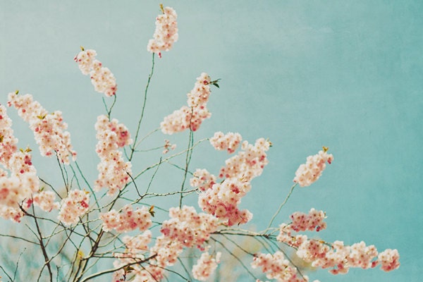 Cherry blossom tree - fine art photography print - flower tree sky dreamy whimsical home decor spring photograph blue aqua pink
