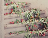 Tulip photograph - fine art photography print - vintage tulips spring stairs staircase dreamy  nature wooden red yellow