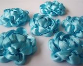 Handmade Turquoise Ribbon Flower Appliques Embellishments(6pcs)