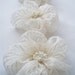Ivory Chiffon with Stripe Flowers Handmade Appliques Embellishments(3 pcs)