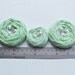 Mint Green Roses Handmade Appliques Embellishment 5 pcs