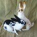 Needle Felted Rabbit, made just for you