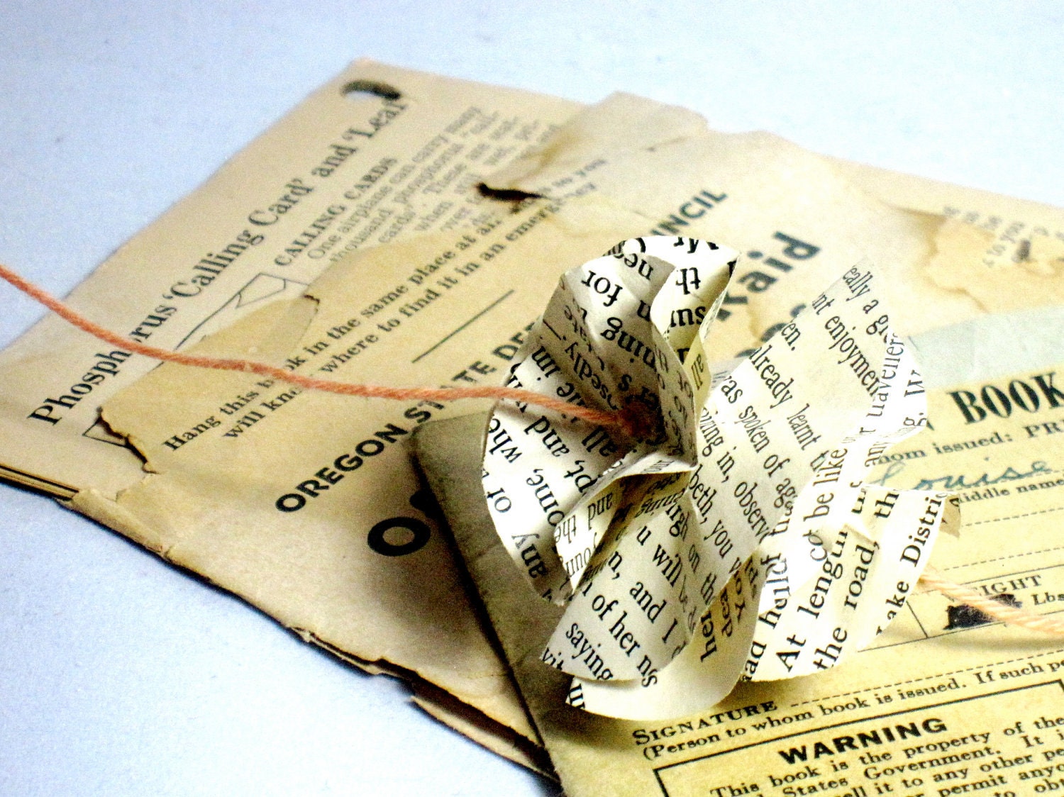 Pride and Prejudice Vintage Book Flower Garland - Literary Decor on Peach Cotton Twine
