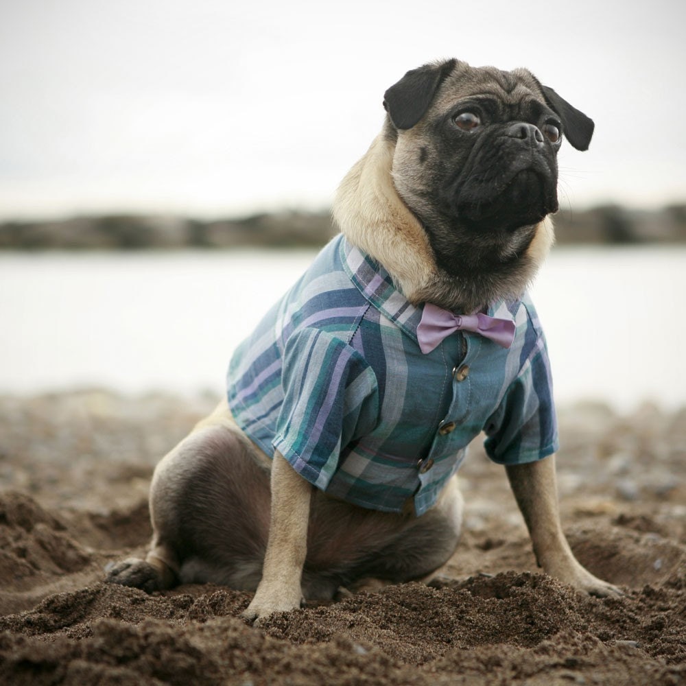 The Arbour Dog Shirt (bow tie sold separately)