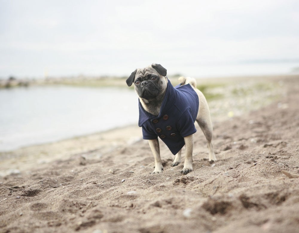 The Skipper Blue Dog Peacoat
