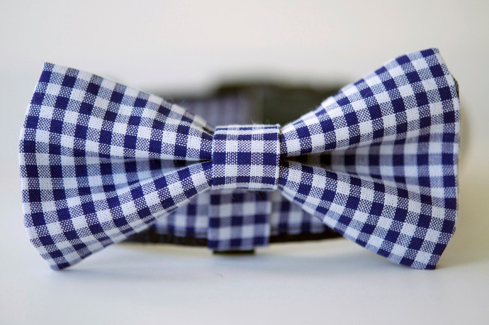 The Harbor Dog Bow Tie Collar