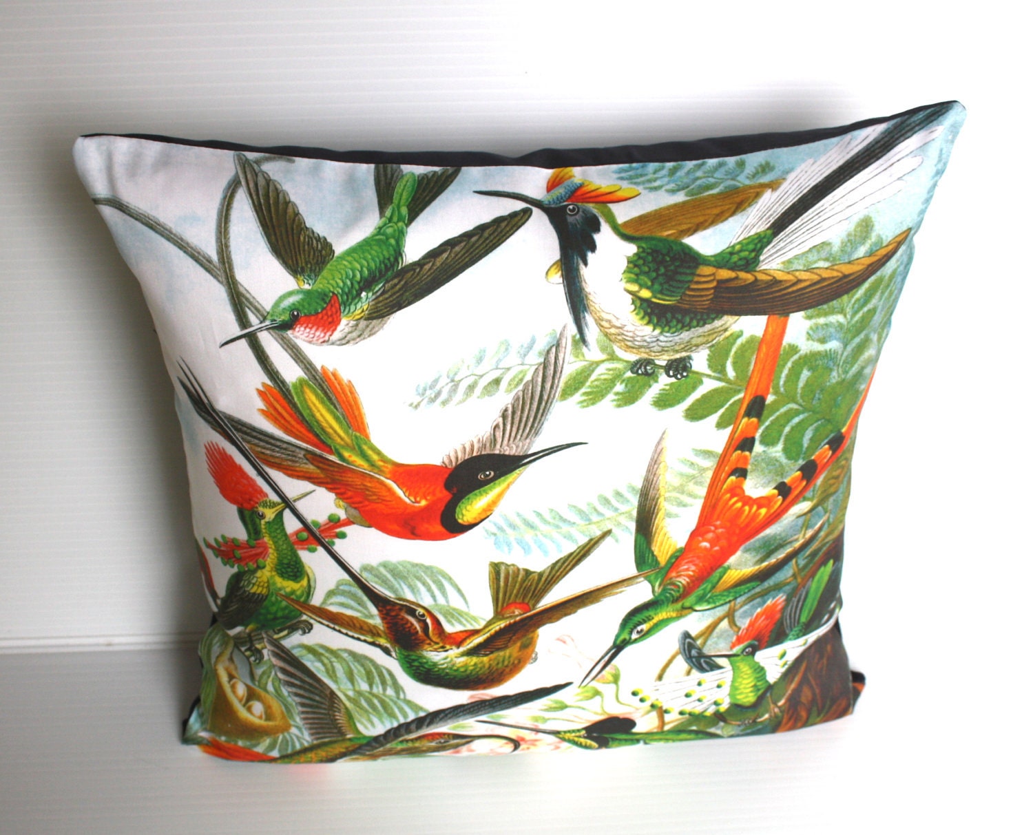 Decorative pillow, throw cushion, bird pillow, HUMMINGBIRDS by Ernst Haeckel Organic cotton,cushion cover, pillow, 16 inch, 41cm