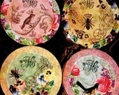 Victorian Custom Initial Coaster Set - Round Glass Bevel Coasters - Birds and the Bees