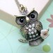 Owl Necklace -Owl with Flower