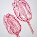 Tulip Original Art Lino Print UK