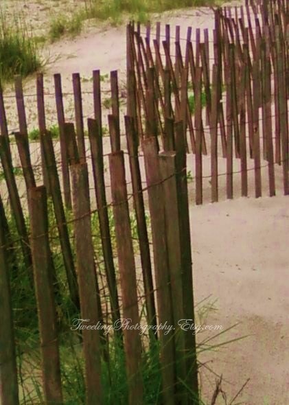 Beach Fencing Gulf Shores 5x7 Signed Metallic Photograph