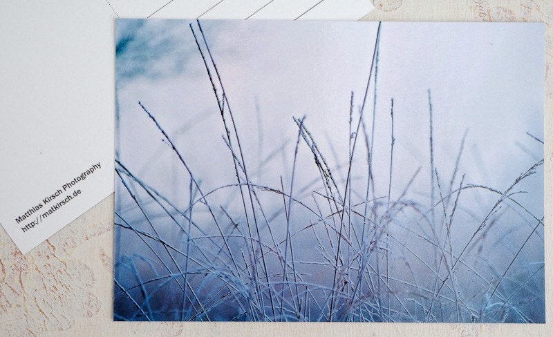 Fine Art Postcard - Frost in the Moor