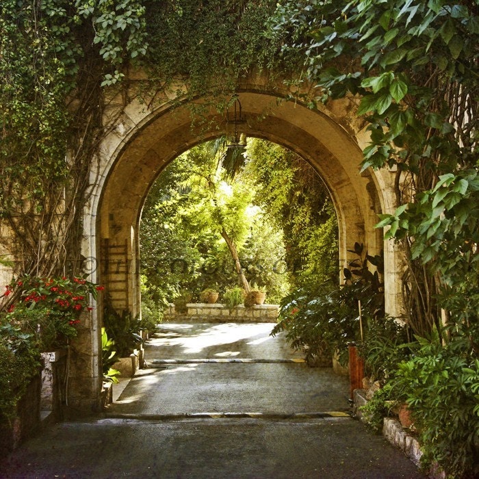 Original Photograph - Magical Garden
