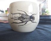 Field Cricket Mug