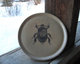 Drone Beetle plate
