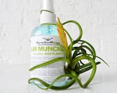 Air Munchiez Fertilizer for Air Plants 16oz - Free Gift Air Plant Included