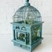 Air Plant in Blue Bird Cage - Distressed Teak LIVE Garden