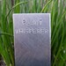Plant Marker Quote Garden Stake