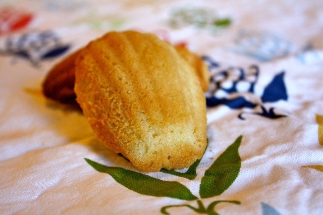 Rose Water Madelines