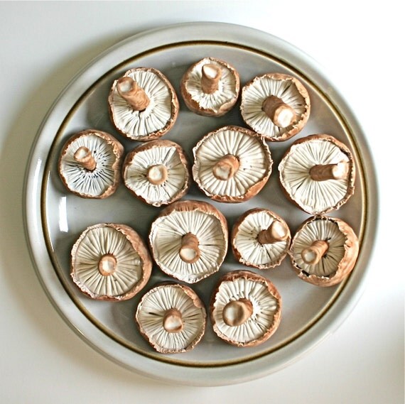 Chocolate Candy Mushrooms LifeSize 3 -Featured in Urban Outfitters