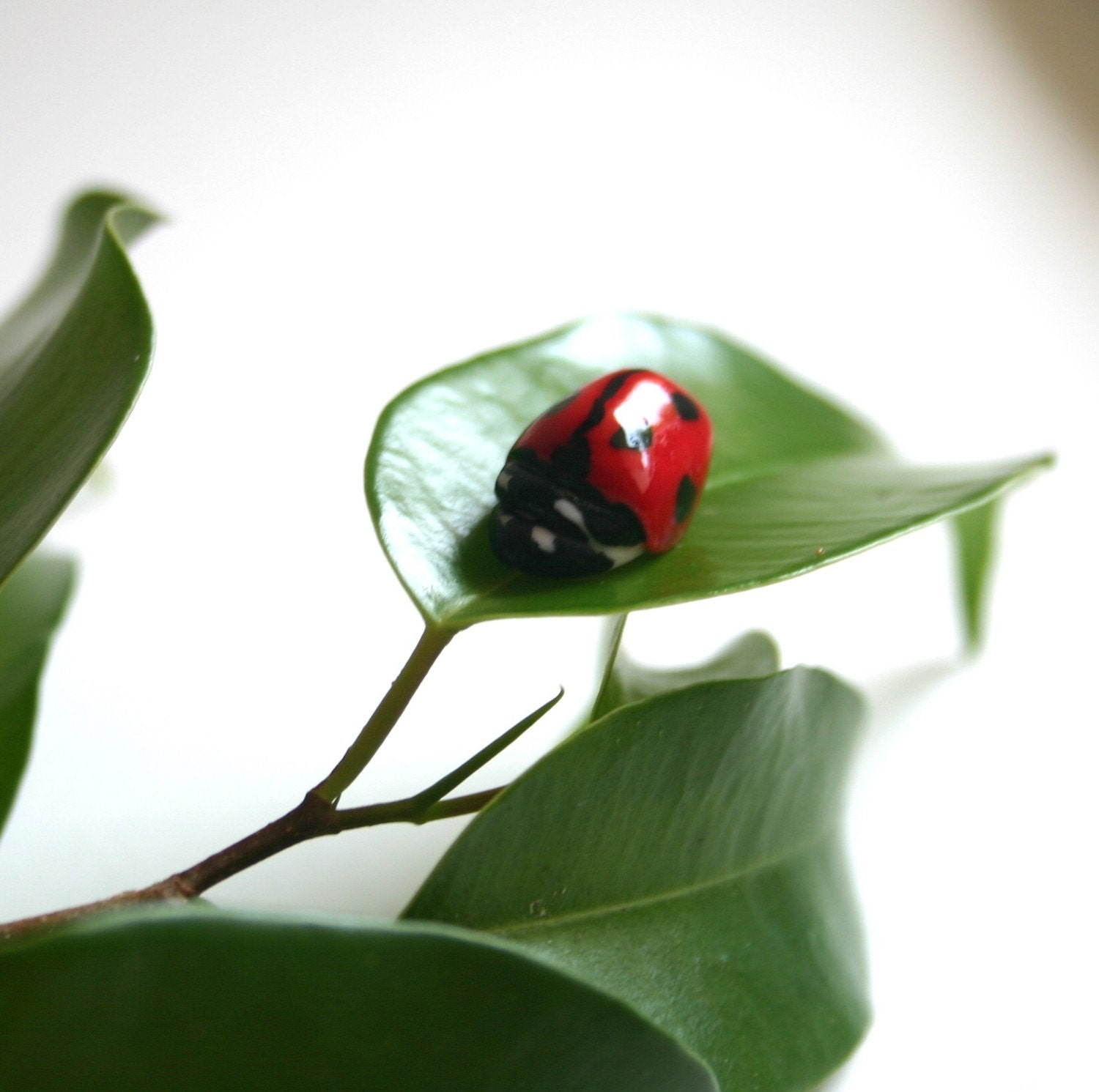Edible Sugar Lady Bugs / Lady Birds / 10 realistic candy / embelishments