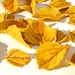 Edible Golden Aspen Leaves 2 Dozen Sugar Embellishments